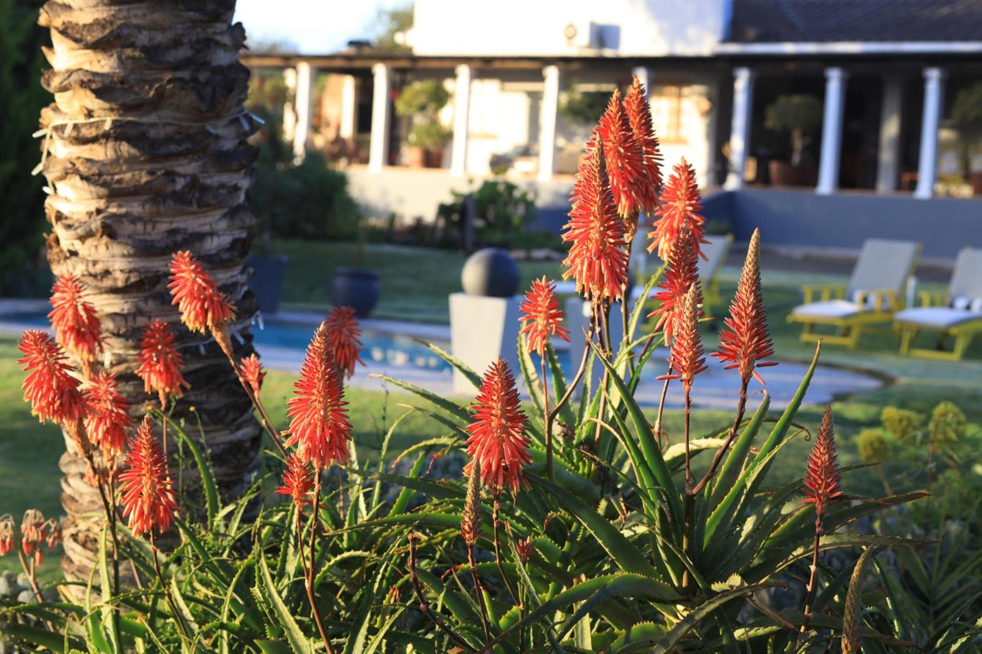 Thylitshia Villa Country Guest House Oudtshoorn Luaran gambar