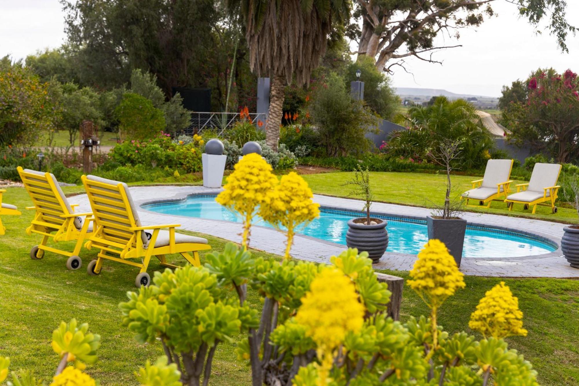Thylitshia Villa Country Guest House Oudtshoorn Luaran gambar